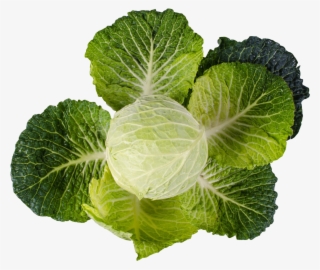 Cabbage Png Image2 - Cabbage