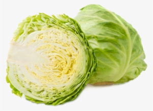 Cabbage - Repollo Col