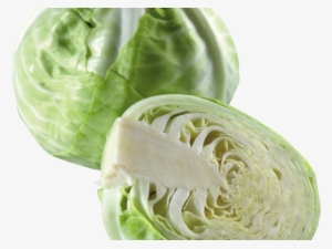 Cabbage Clipart Transparent Background - Cabbage