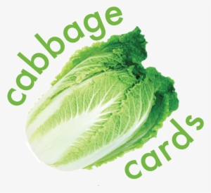 Cabbage Png
