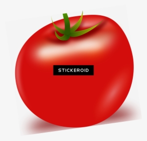 Tomato Vector - Cherry Tomatoes