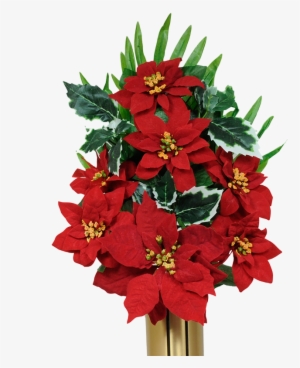 Poinsettia Border Png Download - Drawing