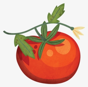 Tomato - Clip Art