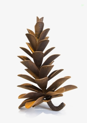 Pine Cone Transparent Images - Sculpture