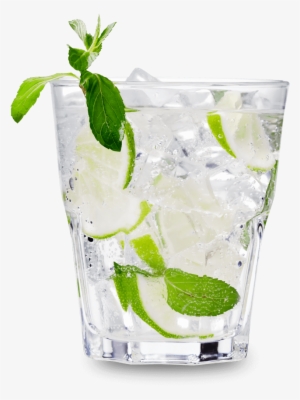 Vodka Tonic - Case Studies & Cocktails: The Now What? Guide To