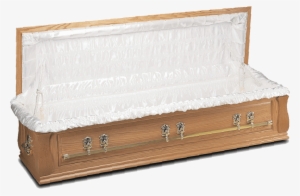 Blenheim - Open Coffin Transparent