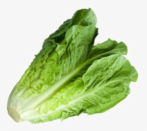Romaine Lettuce Png Image With Transparent Background - Green Giant Iceberg Lettuce