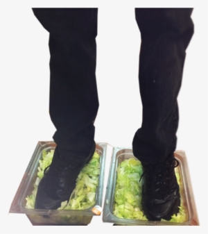Burger King Scandal - Burger King Foot Lettuce - 1291x910 PNG Download