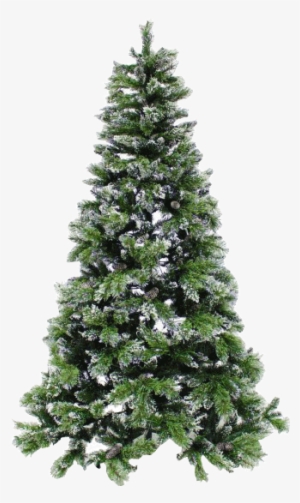 View Theme Ideas - Real Pine Tree