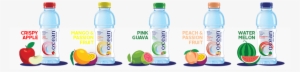 User Buys The O'cean Fruit Water Bottle With Paytm - Plastic Bottle