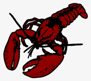 Lobster