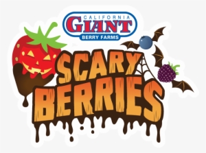 Scary Berries Logo Scary Berries Logo