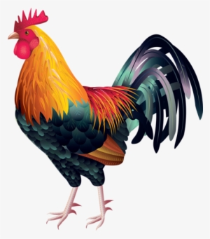 13 - Rooster Vector Free Download