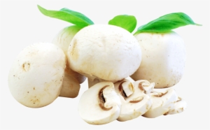 Free Png Fresh Mushrooms Png Images Transparent - Mushrooms Food Png