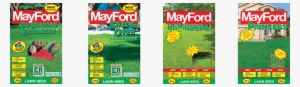 Top Grasses For A Great Lawn - Mayford - Lawn Seed Lm Lawn Grass (berea)