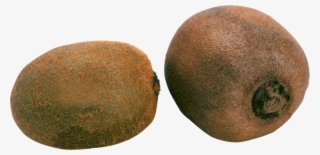 Kiwi Png - Kiwis Png