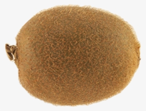 Kiwi Png Free Download - Whole Kiwi Fruit