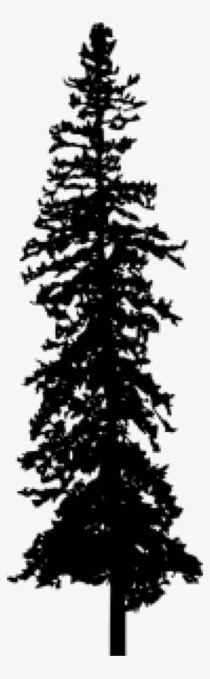 Free Png Pine Tree Silhouette Png Images Transparent - Portable Network Graphics