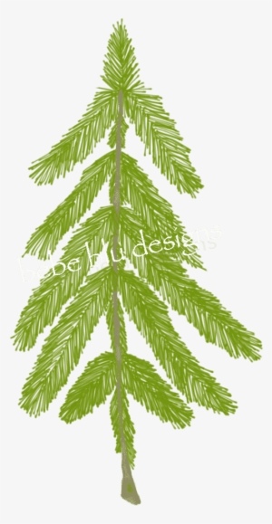 Natural Pine Tree Better - Pine