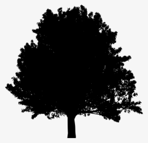 Big Image - Portable Network Graphics