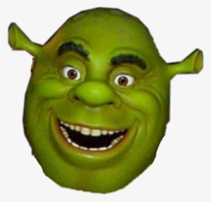 Shrek Stupid