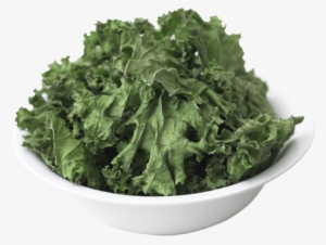 Kale Is Chockfull Of Vitamin K, With A - Homesteading Handbook Vol. 5 Food Drying: