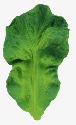 Kendall The Kale - Oli & Carol Kendall The Kale Teether
