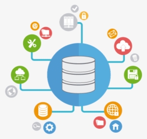 Only A Global Structured Copyright Cases Database With - Database Vector