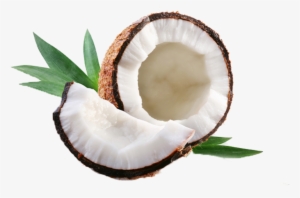 Coco - Hidratação Com Leite De Côco