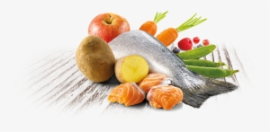 D Pienso Natural Para Perros Con Salmon Fresco Trueinstinct - Salmon