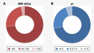 Clusterization Of Proteins In The Corona - Circle