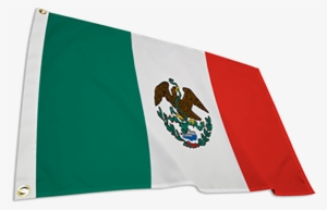 Texas Under Mexico Flag - Flag