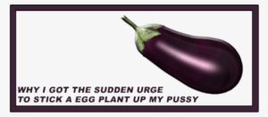 Eggplant