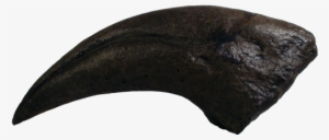 T Rex Claw - Trex Claw