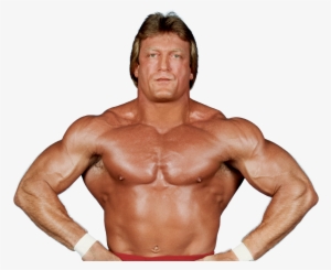 Paul Orndorff Posed Poster