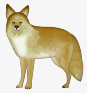 Jackal, Coyote Png, Download Png Image With Transparent - Coyote