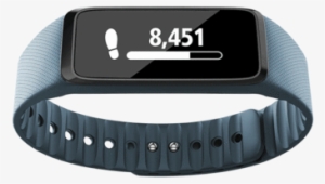 Striiv Fusion Review - Striiv Fusion Lite