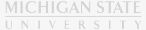 Michigan State University - Michigan State University School Of Social Work