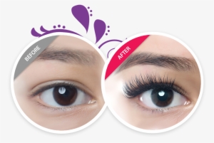 Img - Amazing Lash Studio Natural