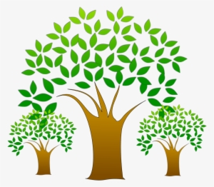 Tree Logo Vector Png