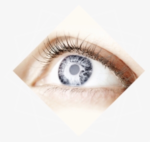 Eye Surgery - Cvs Eye Health, Adult 50+, One Per Day, Softgels -