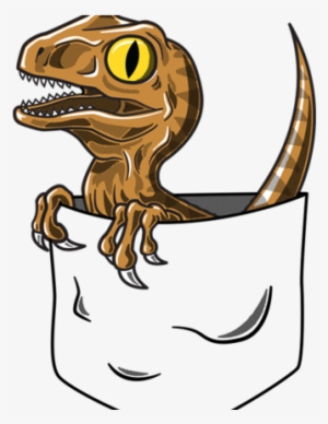 Pocket Velociraptor Pocket Velociraptor - Velociraptor Pocket