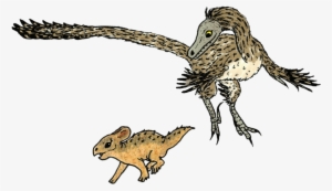 Velociraptor Mongoliensis Protoceratops Andrewsi - Protoceratops