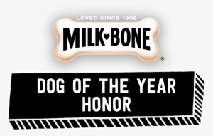 Dogs Do More For Us Every Day, So Why Aren't They Honored