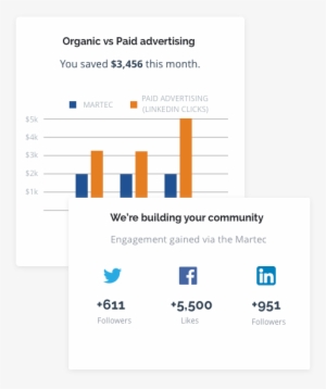 Organic Vs Paid - Performance Metric