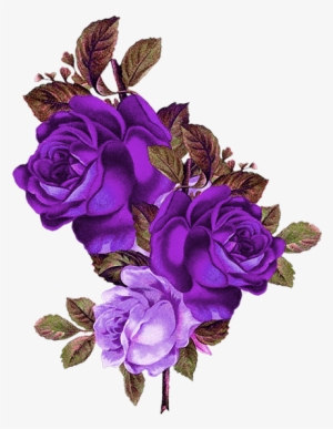 Blue Rose Png - Transparent Background Rose Png