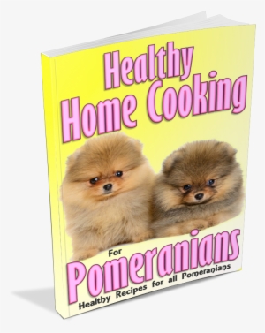 Feeding Your Pomeranian Archives - Pomeranian