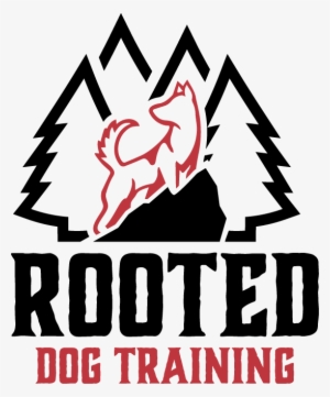 Rooted Dog Training I Los Angeles Dog Training - Rooted Dog Training