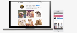 Are You Looking To Get More Real And Active Followers