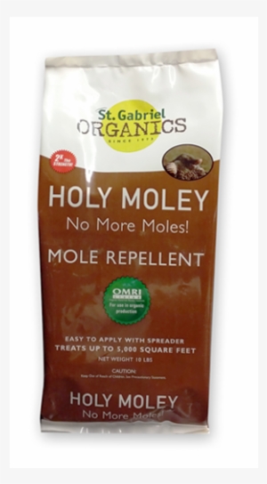 Holey Moley - Cappuccino